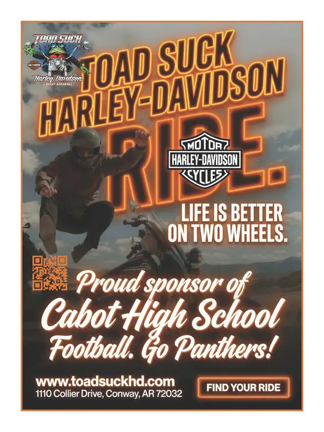 Cabot Sponsorship, sponsorship artwork designed in house by Secret Squirrel Ent. Group