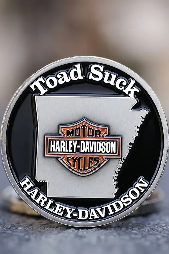 Challenge Coin, State, challenge coin designed in house by Secret Squirrel Ent. Group